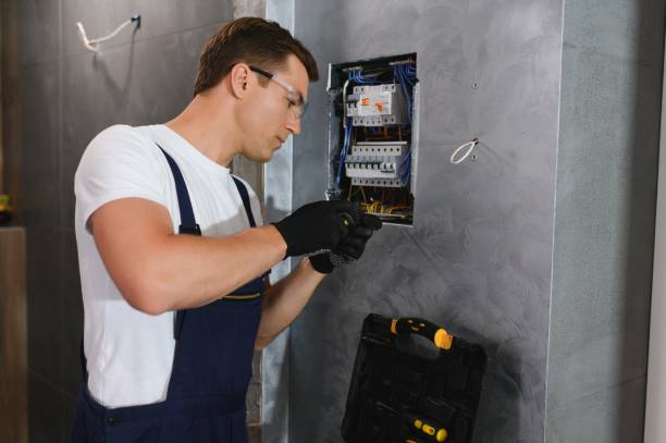 Best Electric Panel Repair  in Lake Dunlap, TX